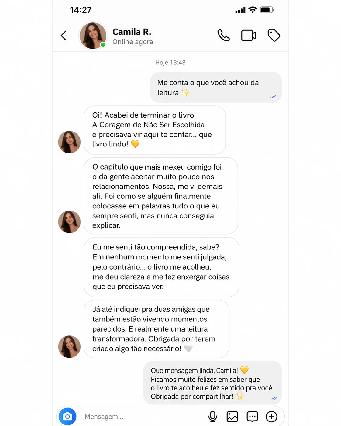 Conversa fictícia ilustrativa: Camila